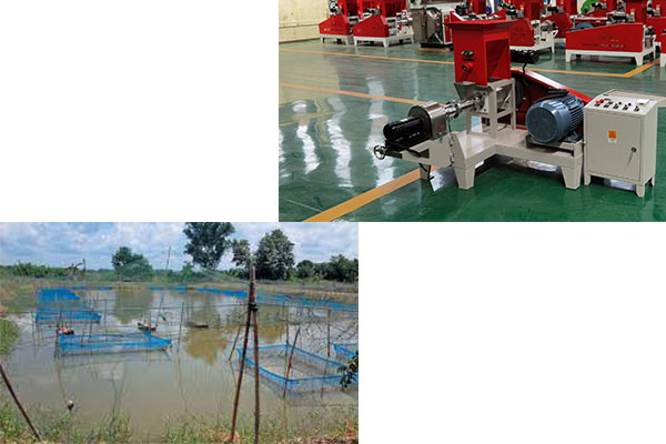 Is Fish Farming Profitable in Ghana?